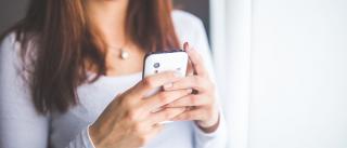 Junge Frau schaut in ihr Smartphone. Headerbild zur Besold Newsletter-Anmeldung.