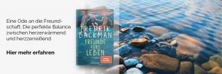 Seeufer mit Steinen. Link zum Buch Freunde fürs Leben.